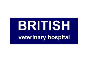 British veterinary hospital