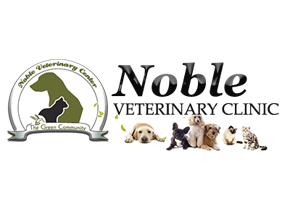 Noble Veterinary Clinic 