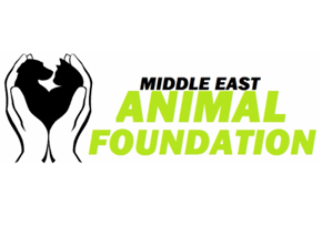 Middle East Animal Foundation